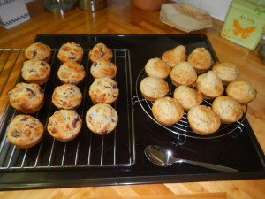 Fredi's Sauerkirschen-Muffin