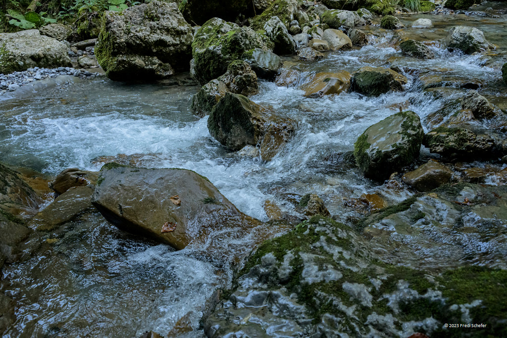 Nikon Z7II Nikkor Z 28-75 f2.8 bei 28mm, f6.3, 1/200 ISO 2500